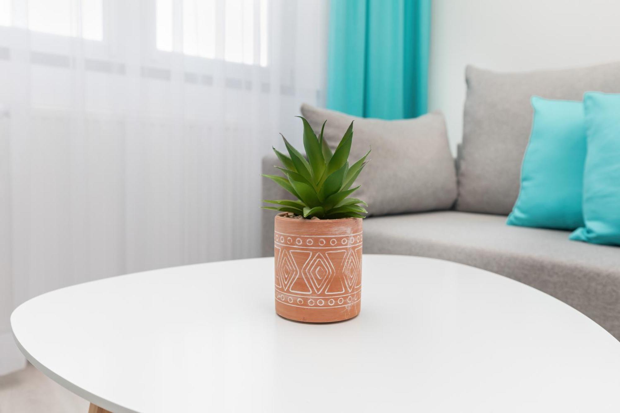 Modern Armii Krajowej In By Rent Like Apartament Świnoujście